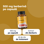 Berberină — beneficii principale