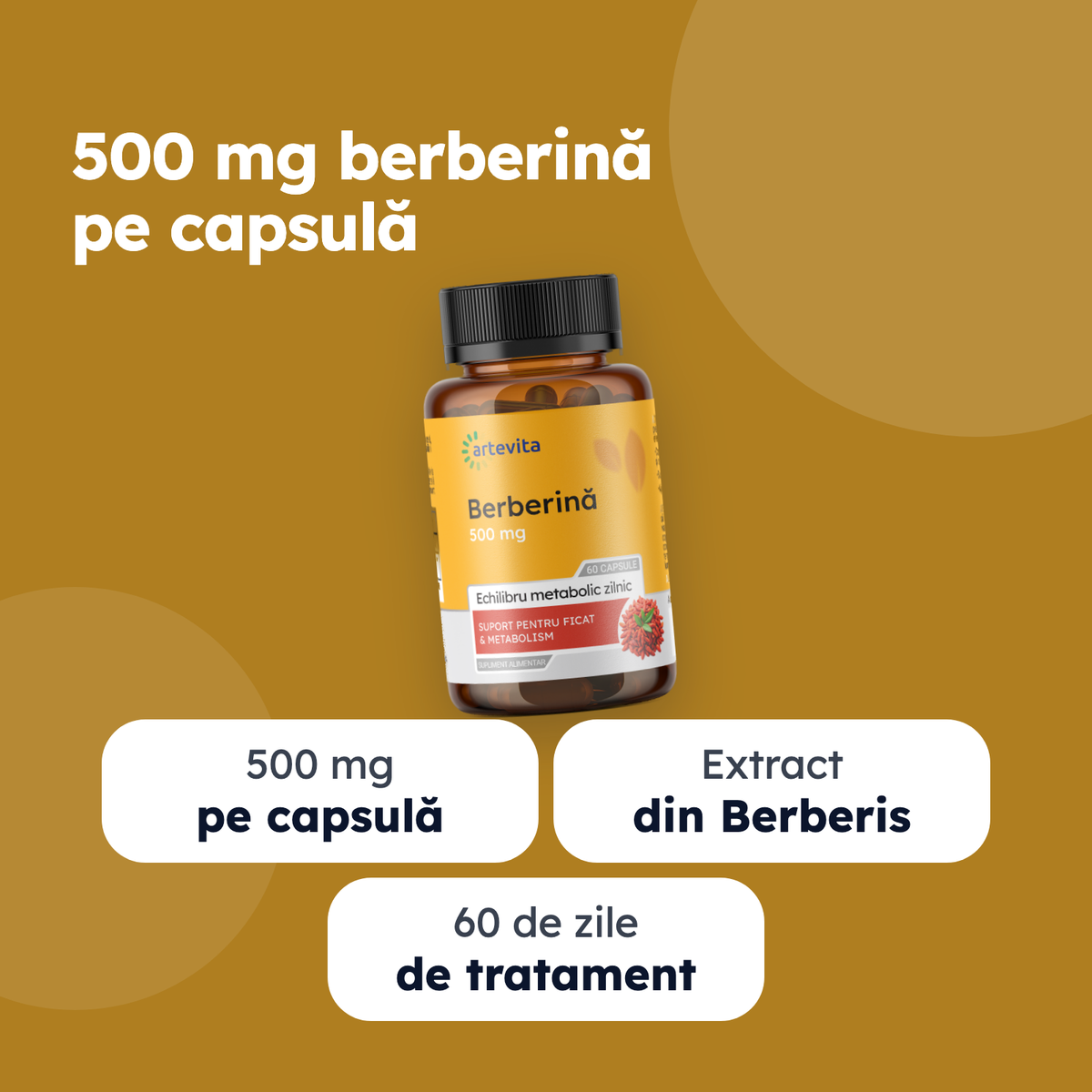 Berberină — beneficii principale