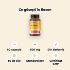 Berberină — specificaţii şi conţinut