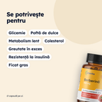 Berberină — pentru ce stări se potrivește