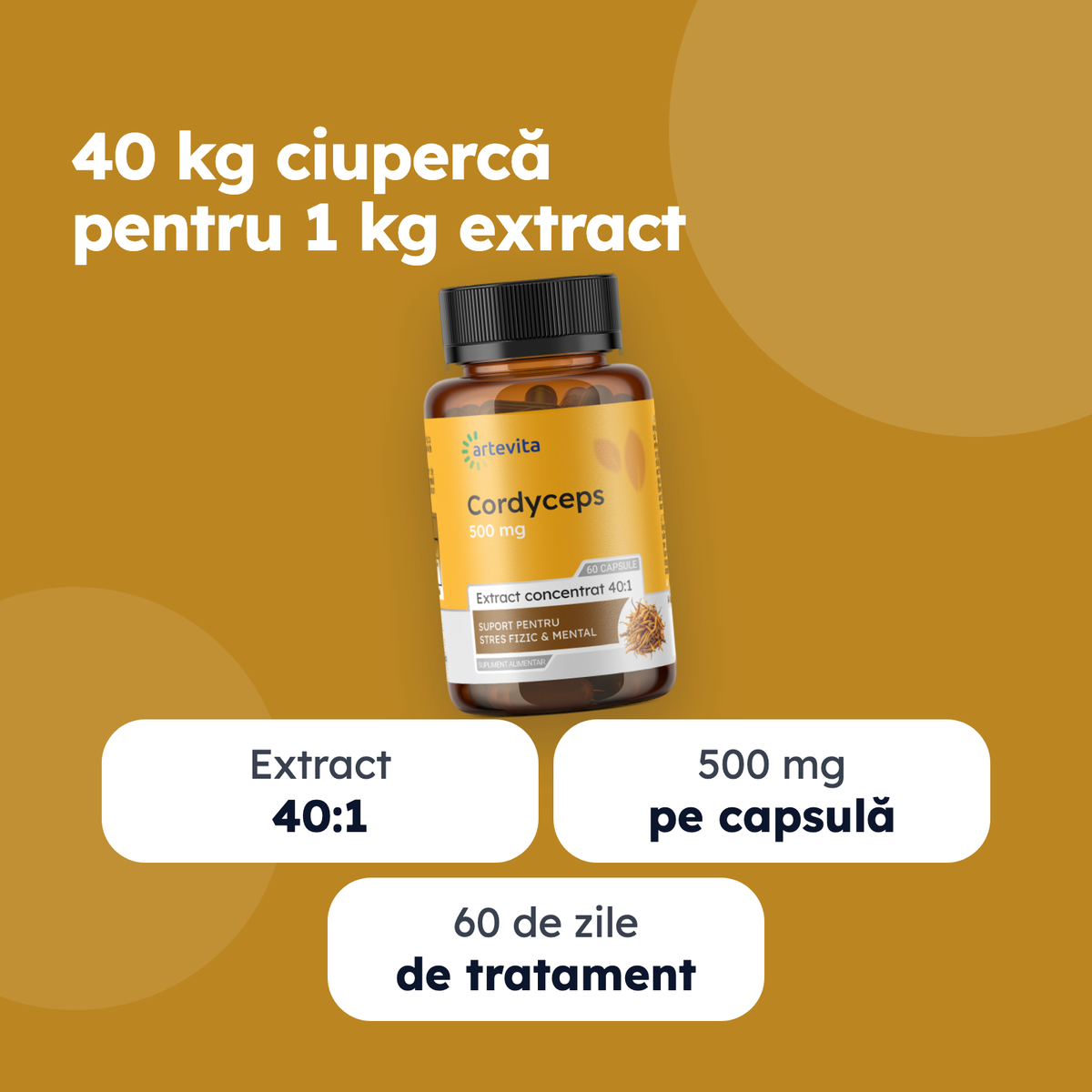 Cordyceps — beneficii principale