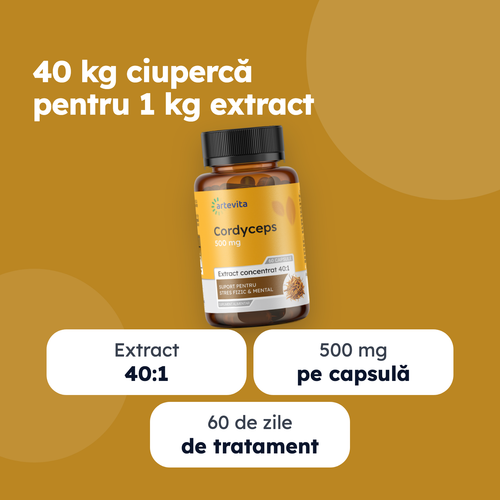 Cordyceps — beneficii principale