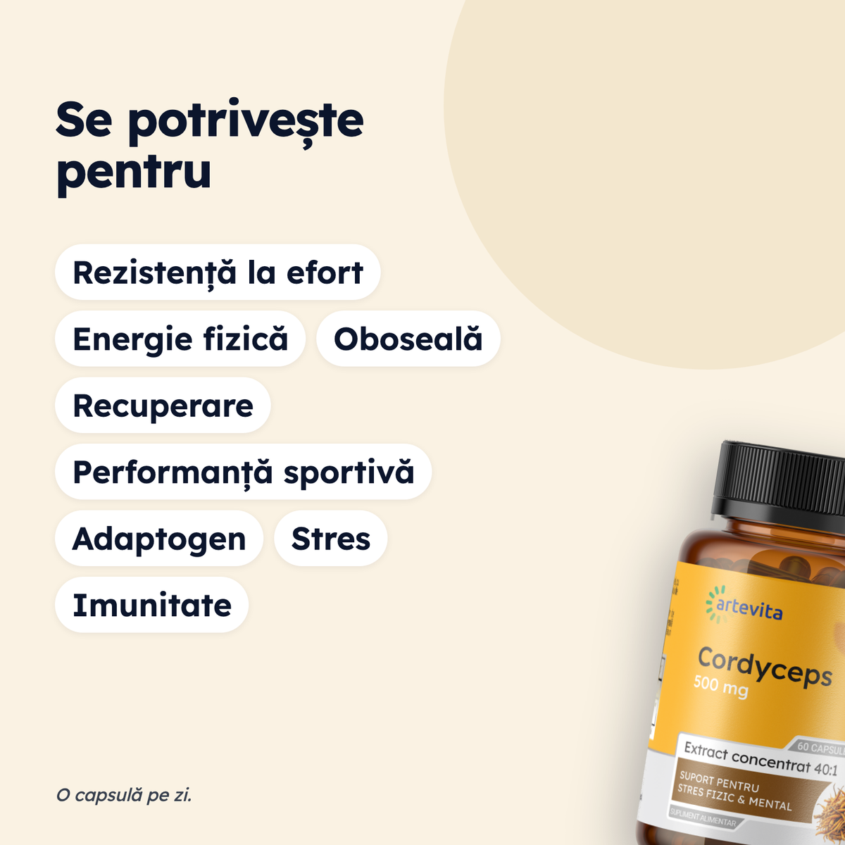 Cordyceps — pentru ce stări se potrivește