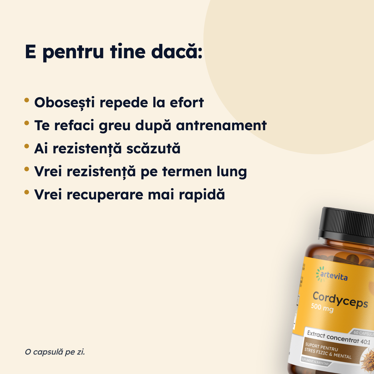 Cordyceps — pentru cine este potrivit