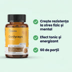 Cordyceps — cordyceps beneficii