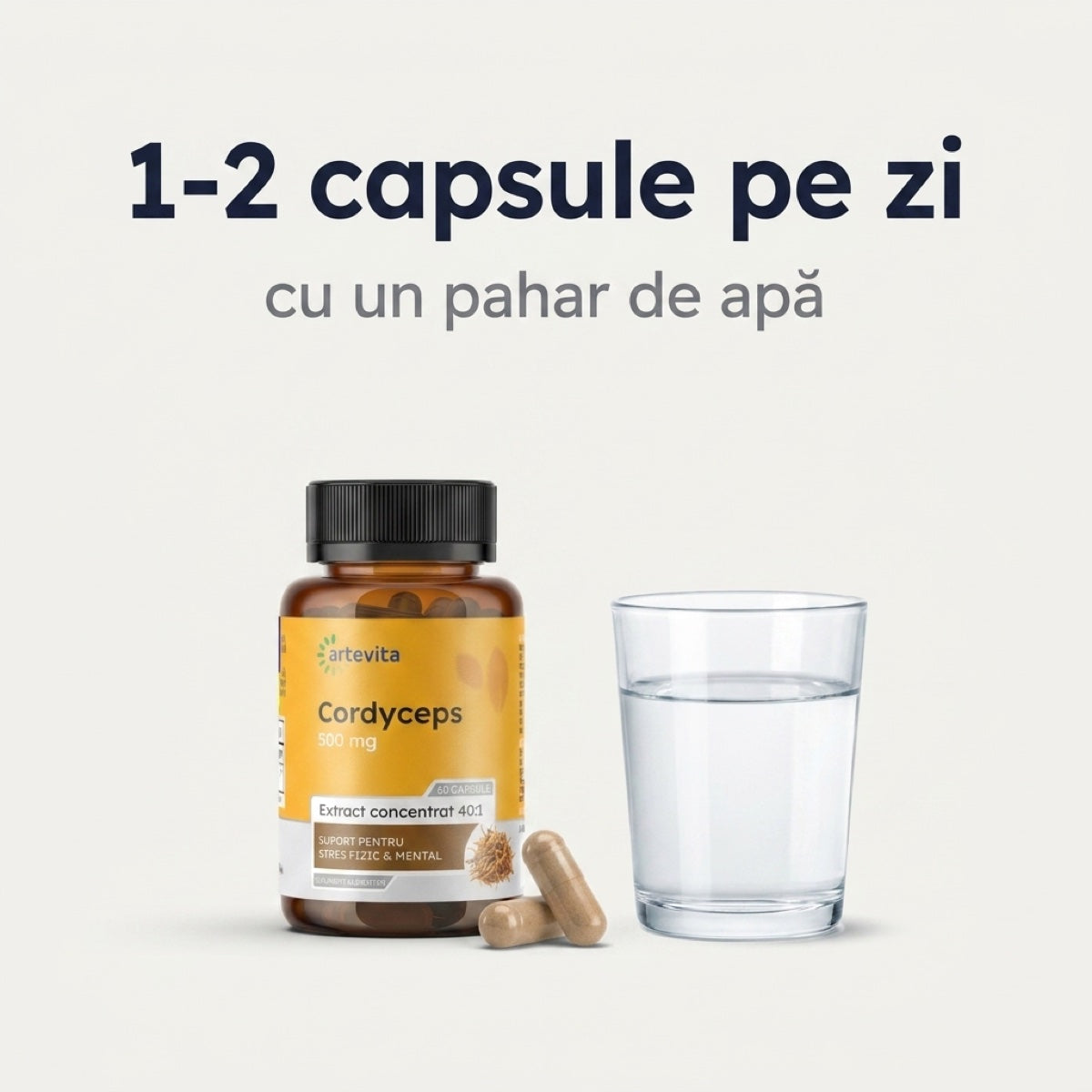 Cordyceps — cordyceps dozaj