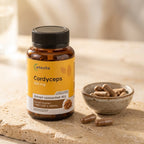 Cordyceps — cordyceps textura