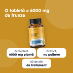 Ginkgo Biloba — beneficii principale