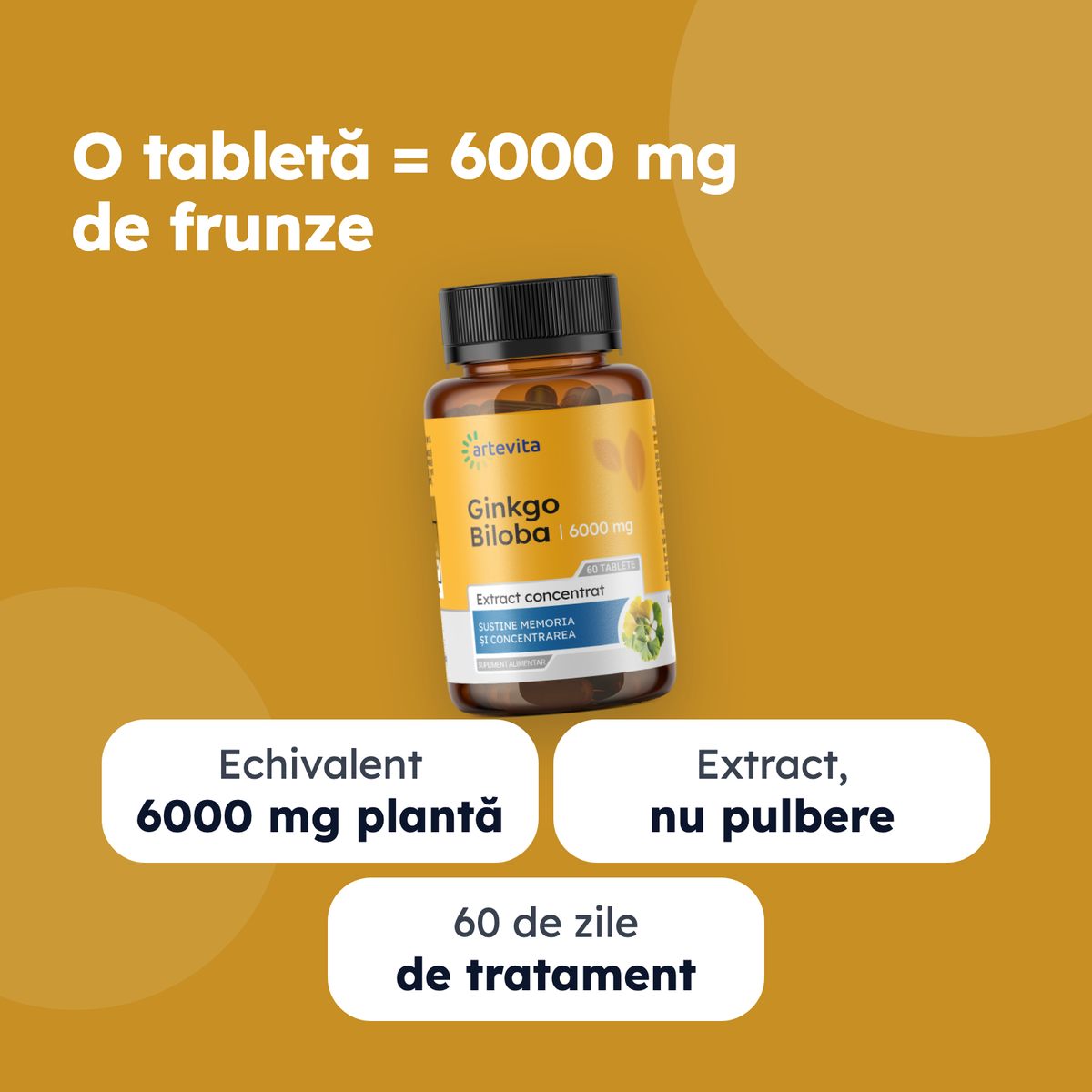 Ginkgo Biloba — beneficii principale