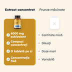 Ginkgo Biloba — comparaţie de formă