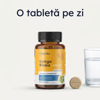 Ginkgo Biloba — ginkgo biloba dozaj