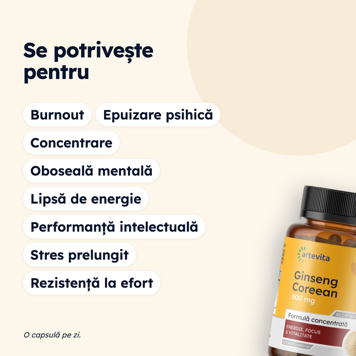 Ginseng Coreean — pentru ce stări se potrivește