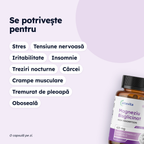 Magneziu Bisglicinat — pentru ce stări se potrivește