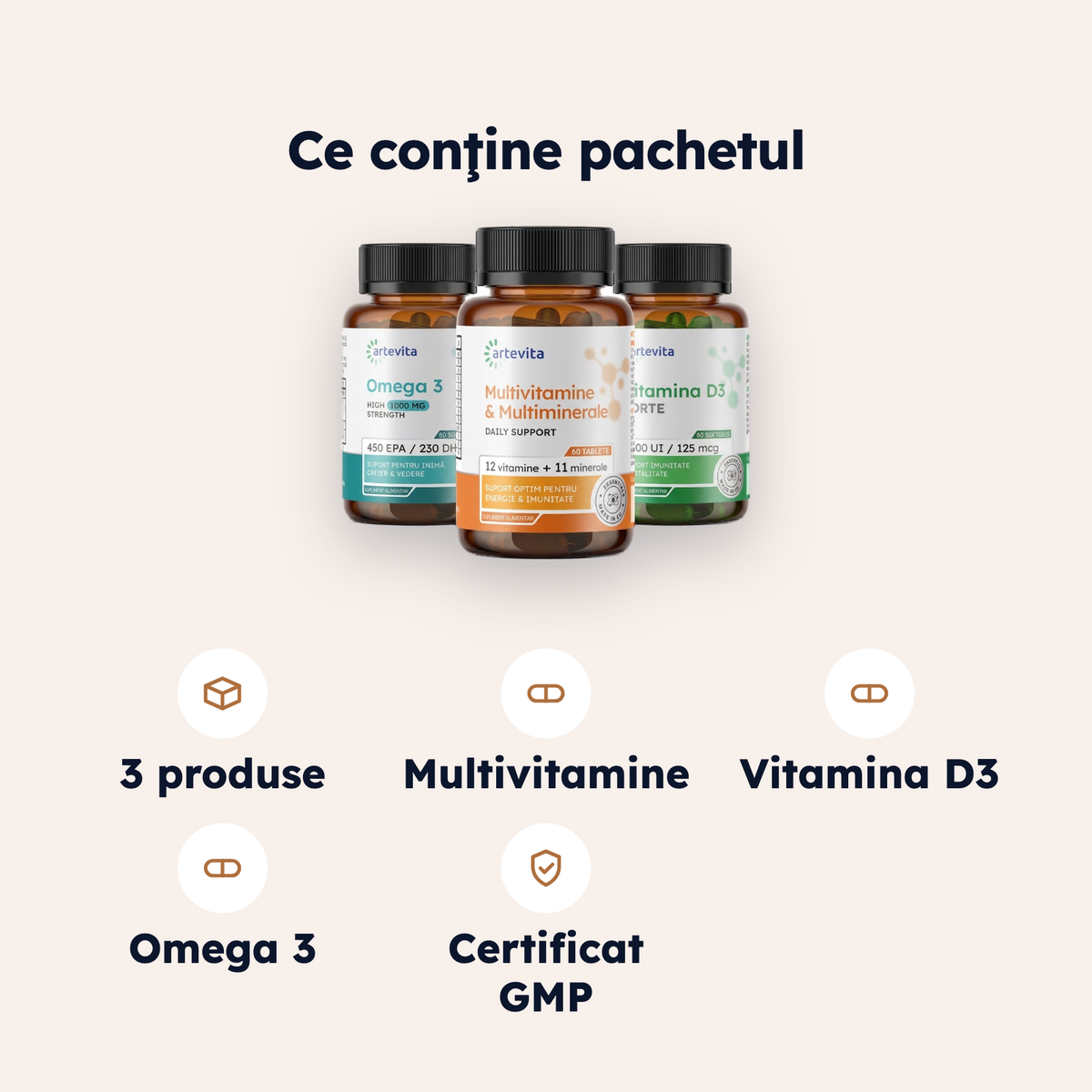 Pachet Fundația Zilnică — specificaţii şi conţinut