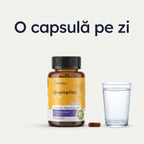 Quercetină — quercetina dozaj