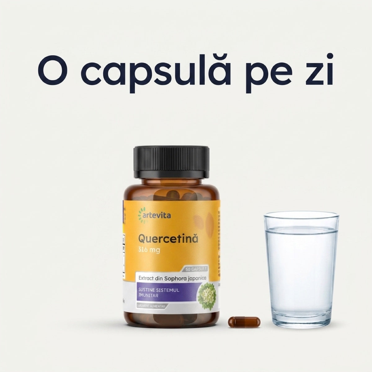 Quercetină — quercetina dozaj