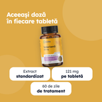Valeriană — beneficii principale